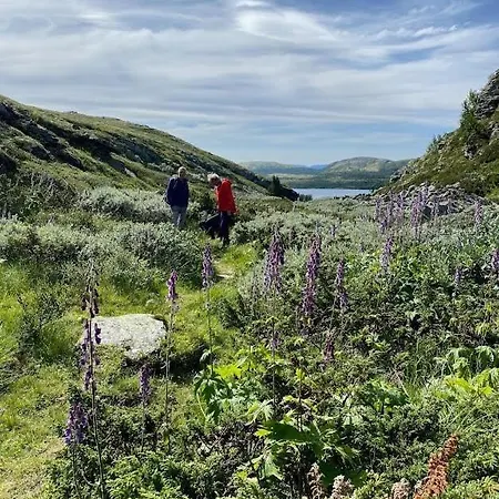 Charming Near Rondane National Park