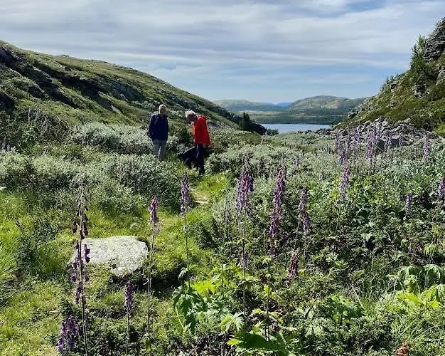 Charming Near Rondane National Park