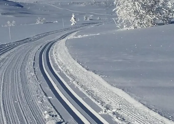 Charming Near Rondane National Park Semesterbostad Venabygd